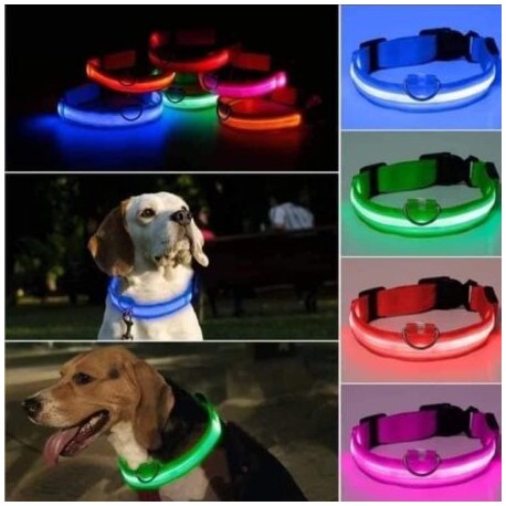 Collar para perro con luz led